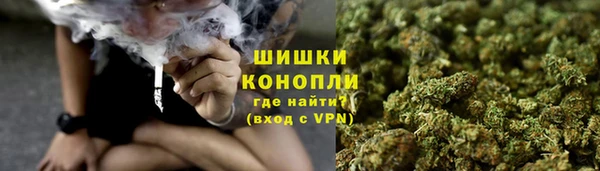 винт Елабуга