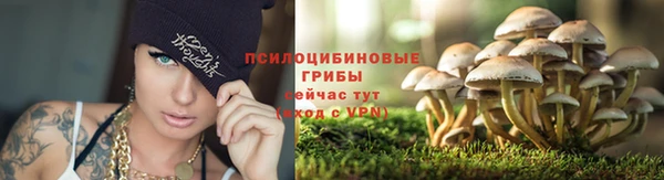 jwh Елизово
