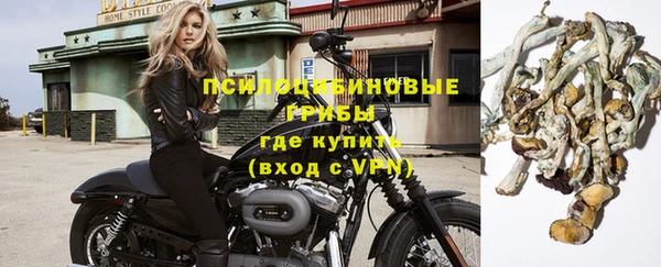 винт Елабуга