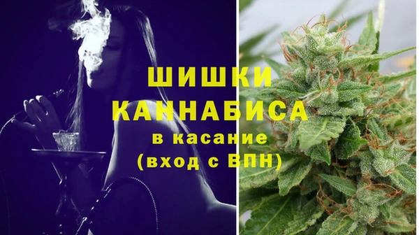 винт Елабуга